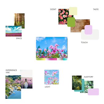 Sensory Branding for Holistic Health Center