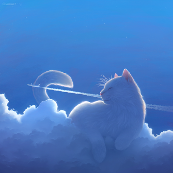 Cat in the Clouds