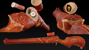 Crabgun concept