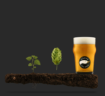 Goose Island