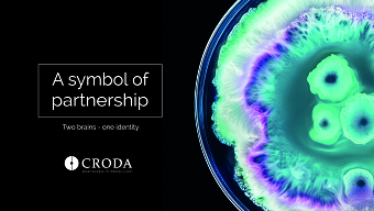Two-brains, one Identity for Croda