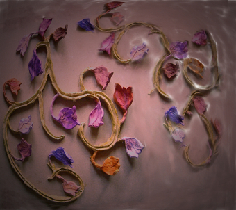 Art for Public Space :  Hanging Tulips