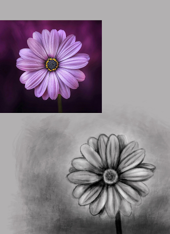 Ilustración digital Flor