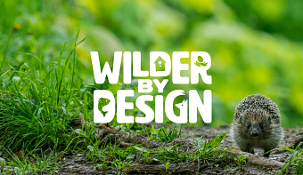 Wilder by Design
