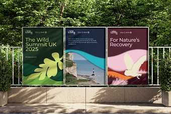 The Wild Summit UK