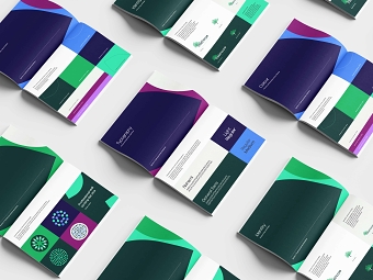 Refreshed identity and comprehensive brand scheme for an established firm of forensic genealogis