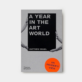 A Year in the Art World: An Insider's View (Paperback)