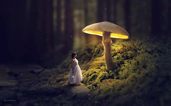 Photo Manipulation