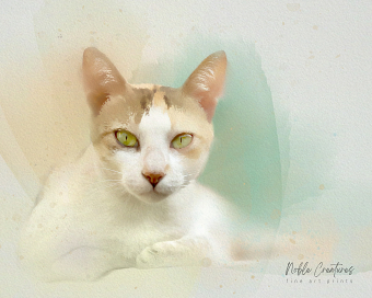 Digital Watercolor