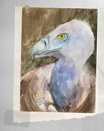 Watercolor oiseaux