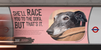Hound of the Underground