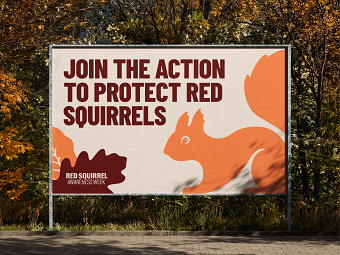 Red Squirrel Awareness Week