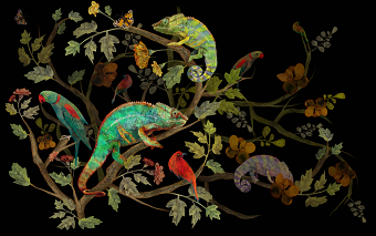 CAMALEON