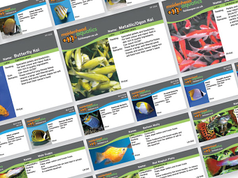 Maidenhead Aquatics Fish Labels