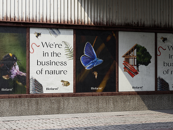 Rebranding a high-growth rewilding startup