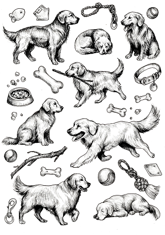 Illustration