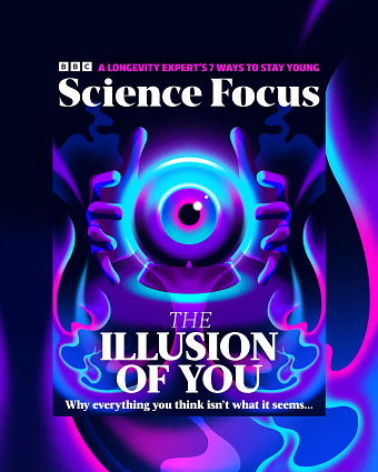 The Illusion of You