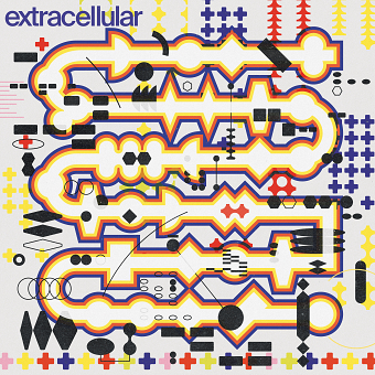 extracellular