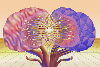The Parallels between neuroscience and ML - The Transmitter