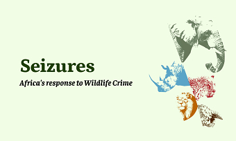 Seizures - Africa's response to Wildlife Crime