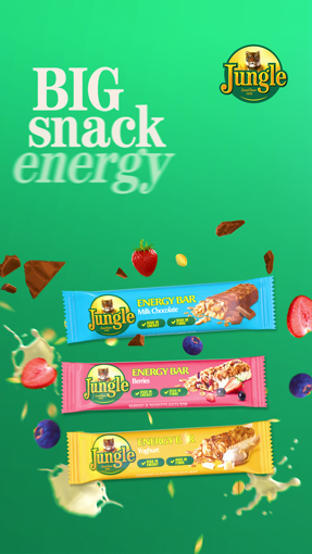 Jungle Oats Energy Bar