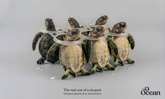 Six-pack