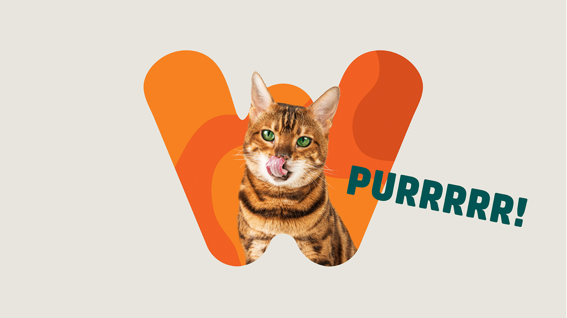 "W" is for Webbox.