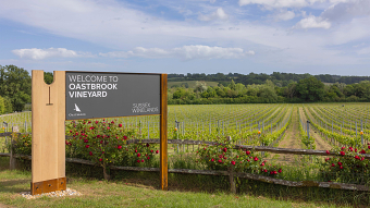 Sussex Winelands
