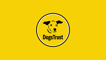 How we helped Dogs Trust reclaim its bark in a crowded charity world