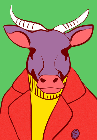 Portrait Cow