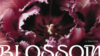 BLOSSOM intimate wellness branding & packaging