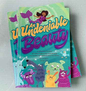 Book Cover Undeniable Beauty