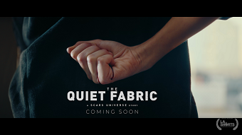 The Quiet Fabric | SCARS Universe