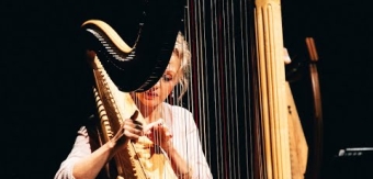 Ruth Wall Showreel - Harps - lever, Gaelic wire, bray and pedal