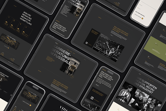 Vida11 Brand Identity + Web Design
