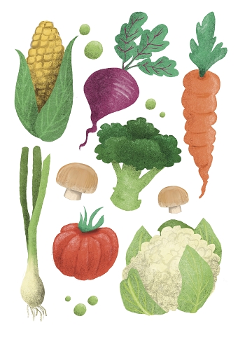 Private Commission - Fruit & Vegetable Illustrations