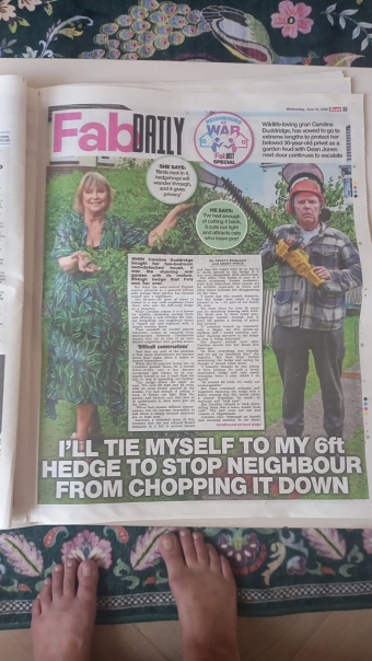 Exclusive FAB Daily - Neighbours at War