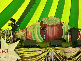 Backdrop for Greenman Festival