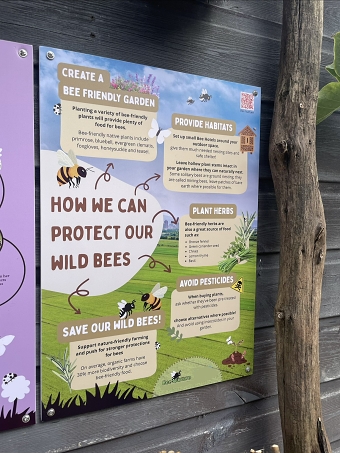 Bee Nurture - educational exhibition boards