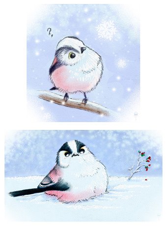 Illustration & Concepts