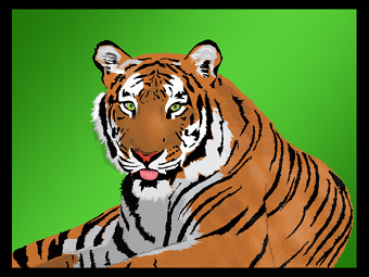 Wild Portraits