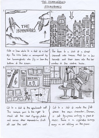 Hummingbird Storyboard