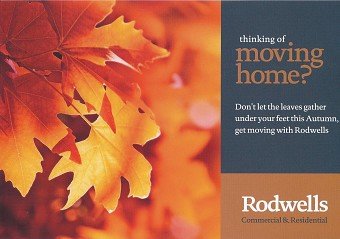 Rodwells (estate agency)