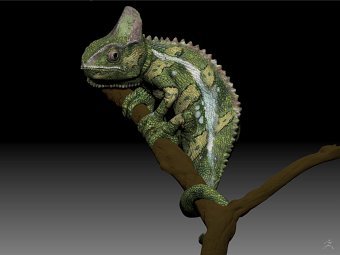 Chameleon