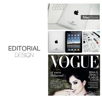 Ji seon Woo Portfolio