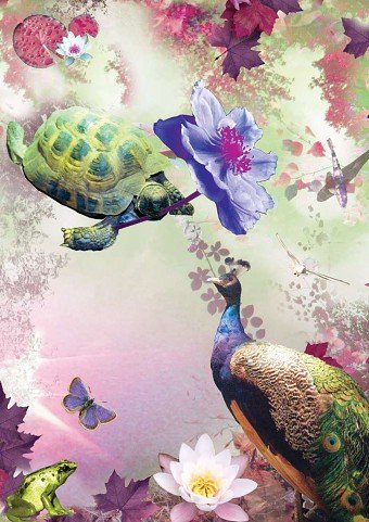 Designs for Twice as Nice Greeting Cards