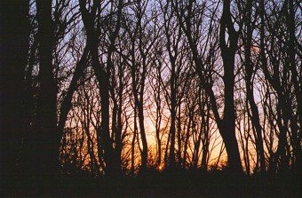 Blog: I Am Not A Roofer