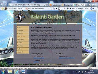 Web Design