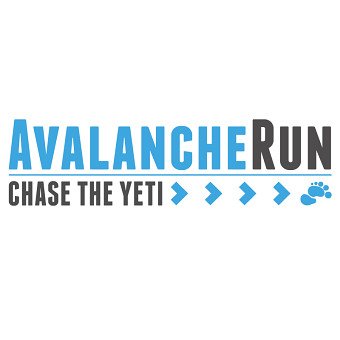 Avalanche Run