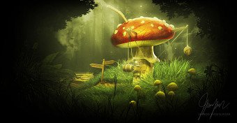 Deep In The Woods